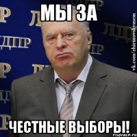 мы за честные выборы!