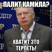 палит камила? хватит это терпеть!