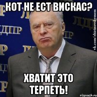 кот не ест вискас? хватит это терпеть!