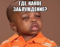где, какое заблуждение? 