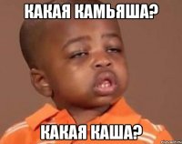 какая камьяша? какая каша?