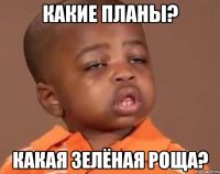 какие планы? какая зелёная роща?