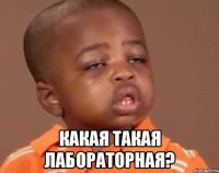 какая такая лабораторная?