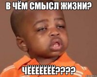 в чём смысл жизни? чёёёёёёё???