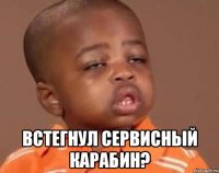  встегнул сервисный карабин?