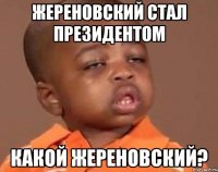 жереновский стал президентом какой жереновский?