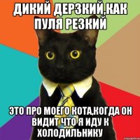 дикий дерзкий,как пуля резкий это про моего кота,когда он видит что я иду к холодильнику