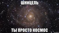 шницель ты просто космос