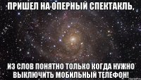 пришел на оперный спектакль, из слов понятно только когда нужно выключить мобильный телефон!