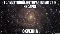 голубятница, которая клеится к хисарке охуенна