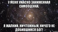 у меня ужасно заниженная самооценка. я жалкий, ничтожный, ничего не добившийся бог!