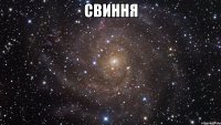 свиння 