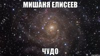 мишаня елисеев чудо