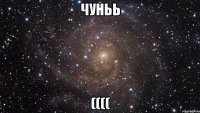 чуньь ((((