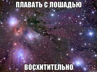 плавать с лошадью восхитительно