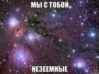 мы с тобой незеемные