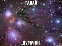 галай дурачок