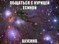 общаться с курицей есиной ахуенно