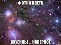 фотки цвети охуенны ... наверное