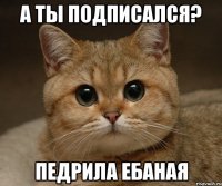 а ты подписался? педрила ебаная