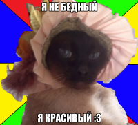 я не бедный я красивый :3