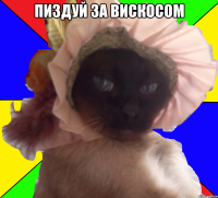 пиздуй за вискосом 