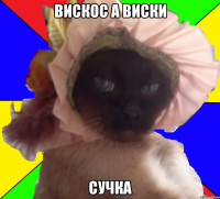 вискос а виски сучка