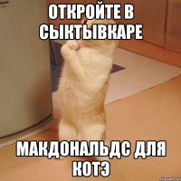 откройте в сыктывкаре макдональдс для котэ