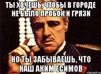 ты хочешь, чтобы в городе не было пробок и грязи но ты забываешь, что наш аким есимов