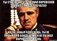 ты считаешь что познал воровской закон, если одел печатку но ты забыл одну вещь, ты не побывал в банде шума и не познал воровскую жизнь