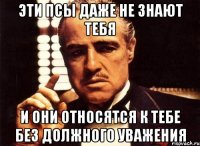 эти псы даже не знают тебя и они относятся к тебе без должного уважения