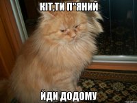 кіт,ти п"яний йди додому