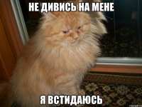 не дивись на мене я встидаюсь