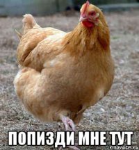  попизди мне тут