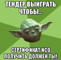 тендер выиграть чтобы... сертификат исо получить должен ты!