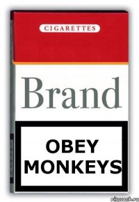 Obey monkeys