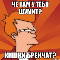 че там у тебя шумит? кишки бренчат?