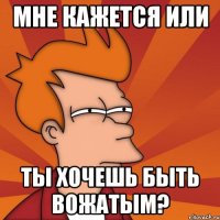 мне кажется или ты хочешь быть вожатым?