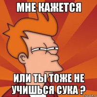 мне кажется или ты тоже не учишься сука ?