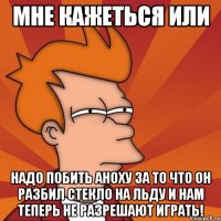 мне кажеться или надо побить аноху за то что он разбил стекло на льду и нам теперь не разрешают играть!