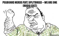 Pegboard Nerds Feat. Splitbreed – We Are One (Radio Edit)