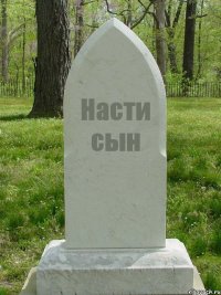 Насти сын