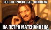нельзя просто быть похожим на петри матекайнена