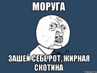 моруга зашей себе рот, жирная скотина