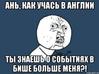 ань, как учась в англии ты знаешь о событиях в бише больше меня?!