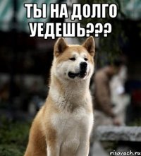 ты на долго уедешь??? 