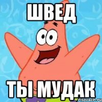 швед ты мудак