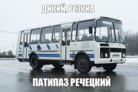 дикий, резкиа патипаз речецкий