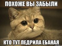 похоже вы забыли кто тут педрила ебаная