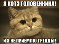 я котэ головенкина! и я не приемлю тренды!